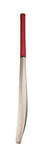 Nas Genius Virat Kohli Popular Willow Cricket Bat, Full Size, Natural Colour - Designer mart