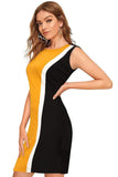 Women's Knee Length Bodycon Dress - Designer mart