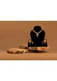 Matte Gold With Semi Precious Stones Necklace set - Designer mart