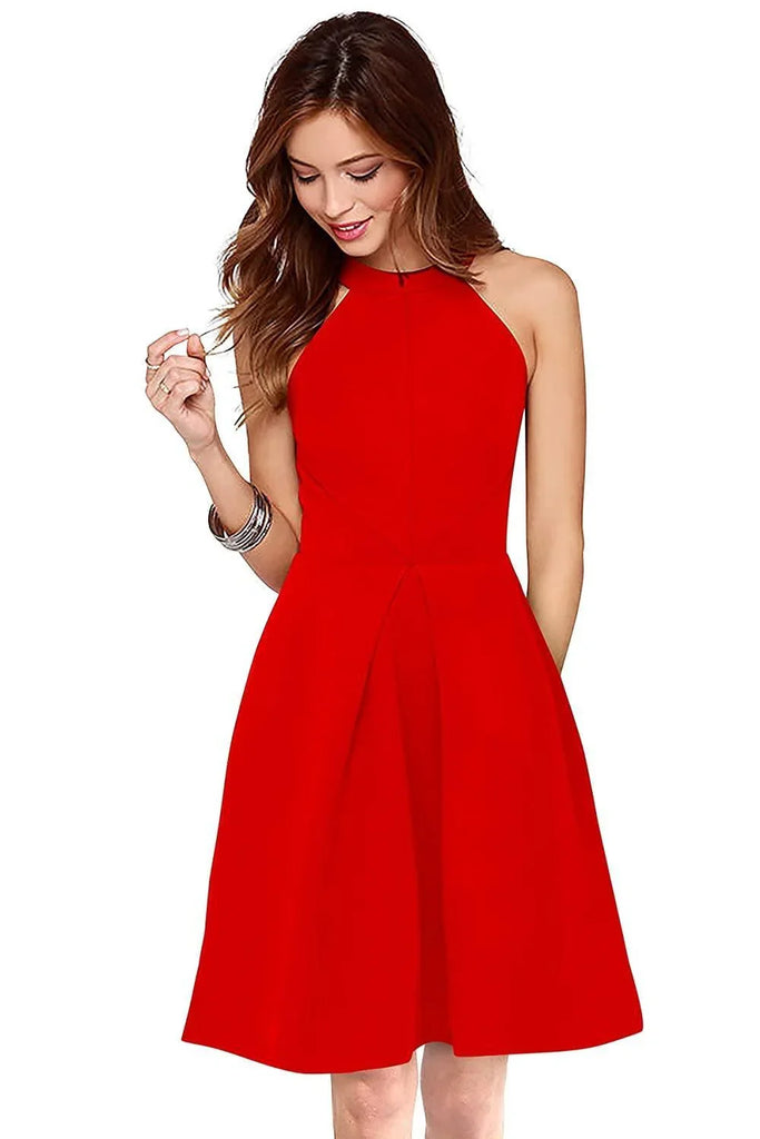 Women's Knee Length Skater Dress